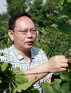 新疆芳香庄园酒业股份有限公司任总工程师、首席酿酒师、副总经理
