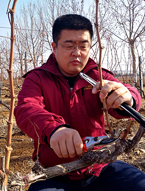 中粮长城葡萄酒（蓬莱）有限公司基地部经理